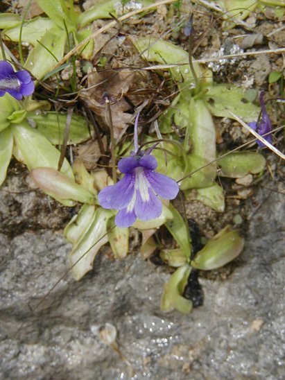 causse24.JPG