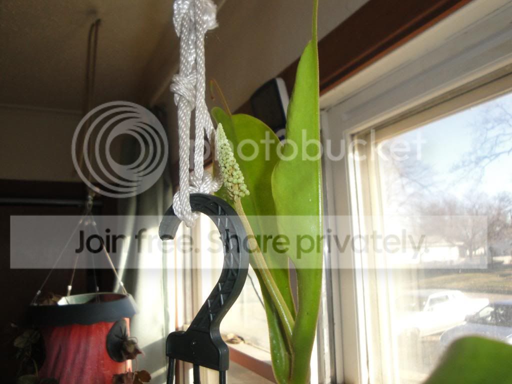 DSC03102.jpg