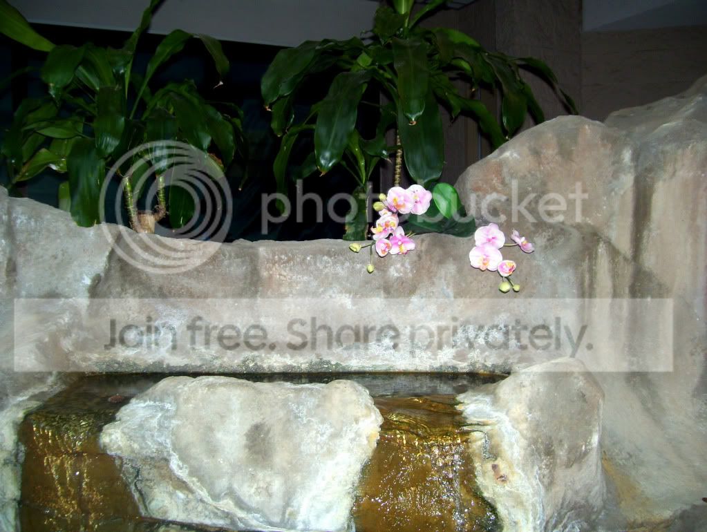100_5726.jpg