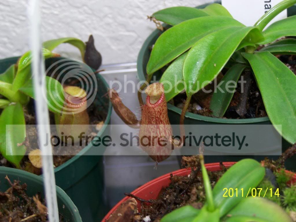 100_4818.jpg