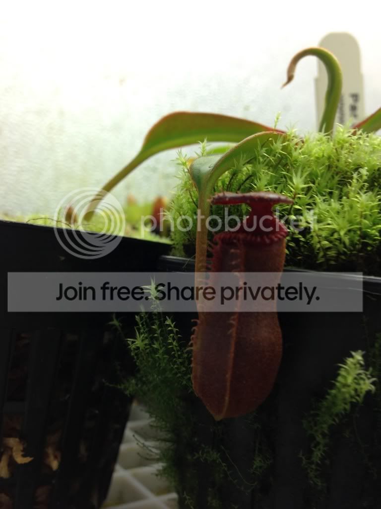 image_zps24edca0f.jpg