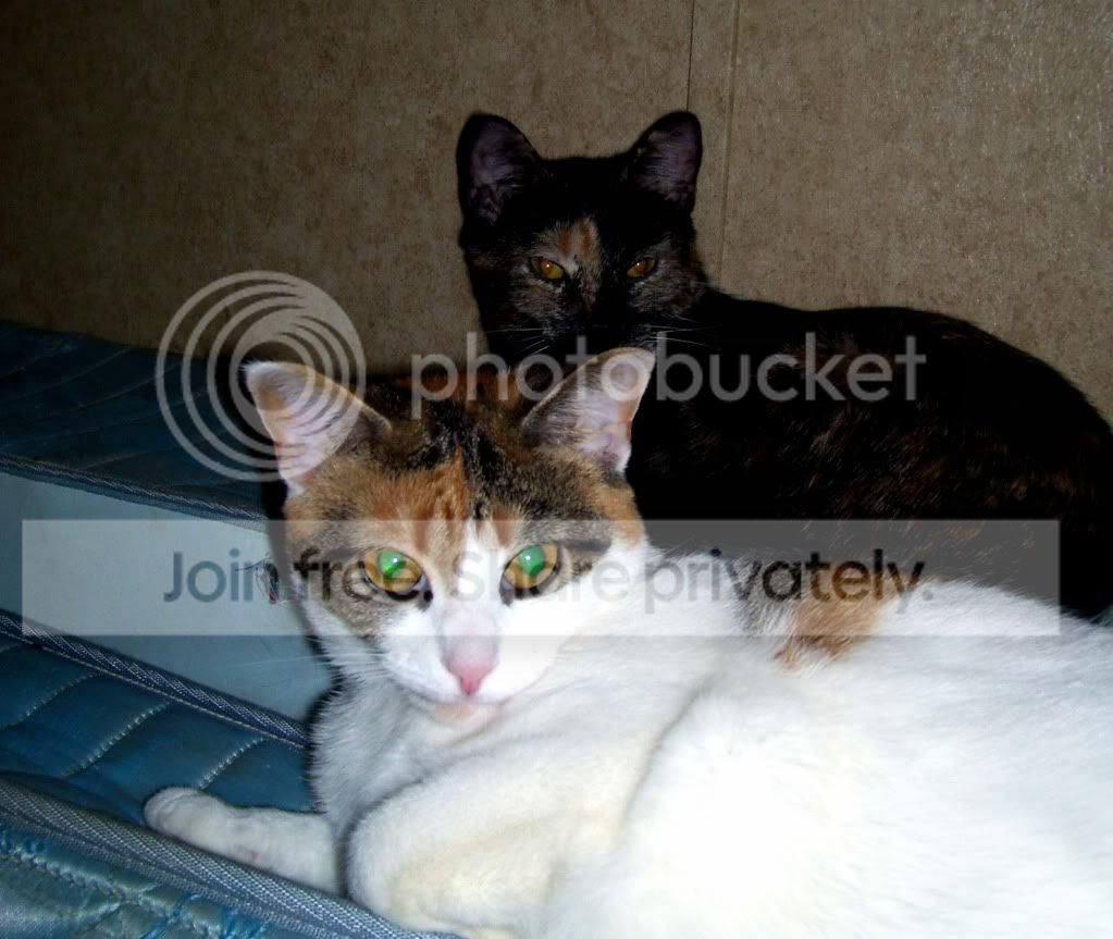 100_6852.jpg