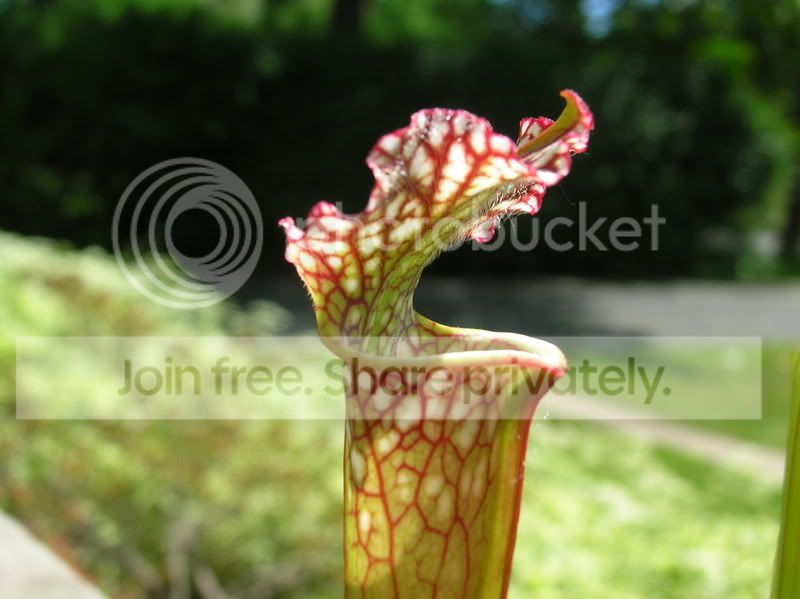 DSCN3832.jpg