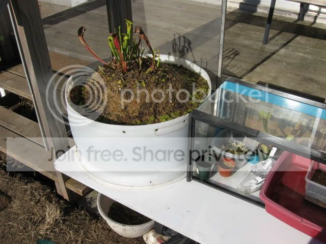 IMG_3044.jpg