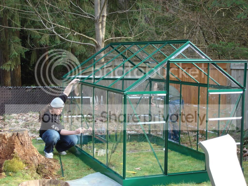 greenhouseproject011.jpg