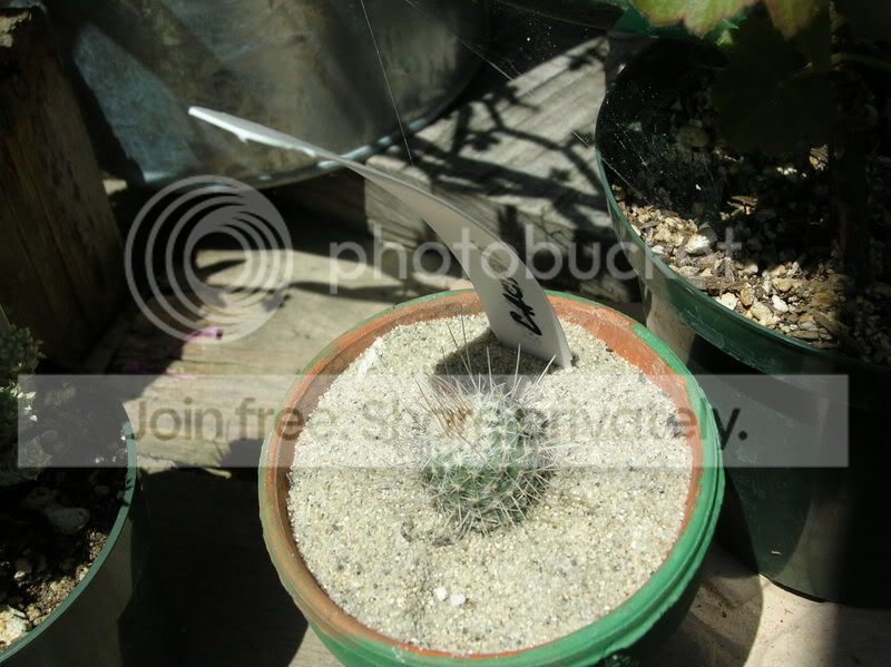 HW2_5072.jpg