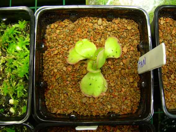 DSCN1214.jpg