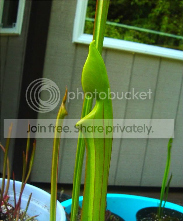 springFINALLY003.jpg