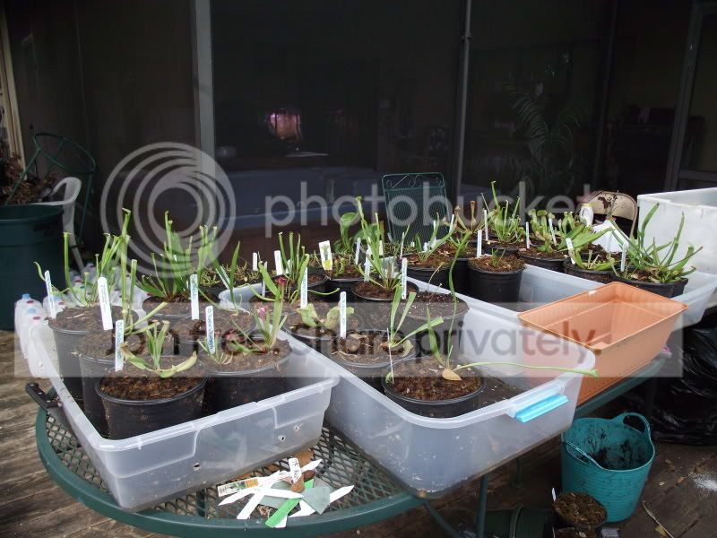 DSCF5806.jpg