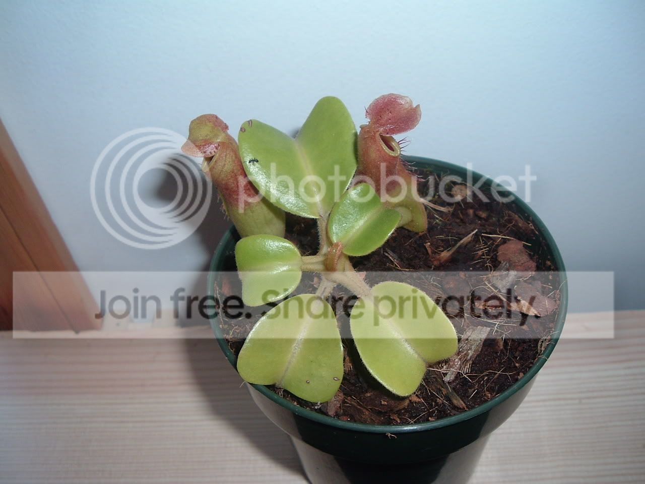 DSCF2495.jpg