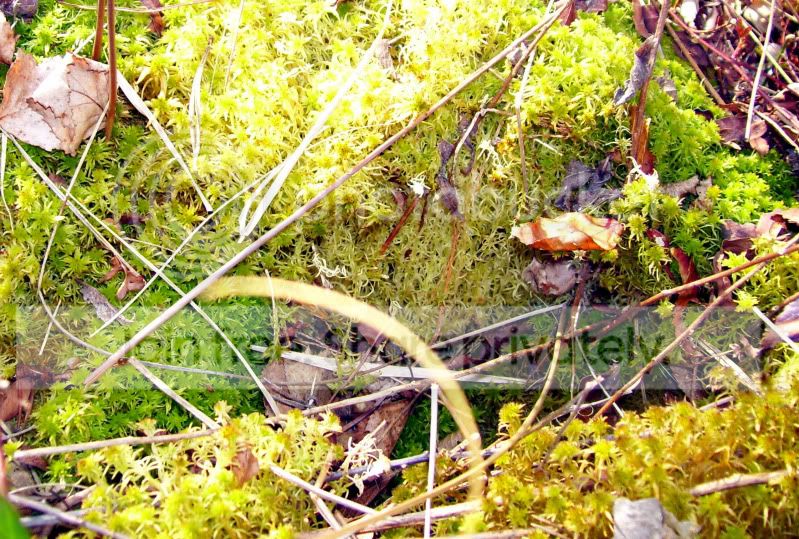 100_3305.jpg