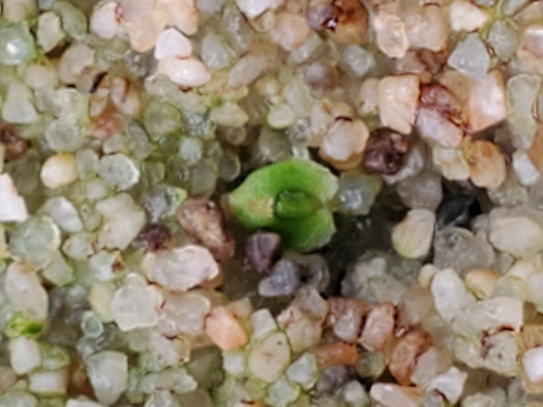 20201118011647-9319bd57-me.jpg