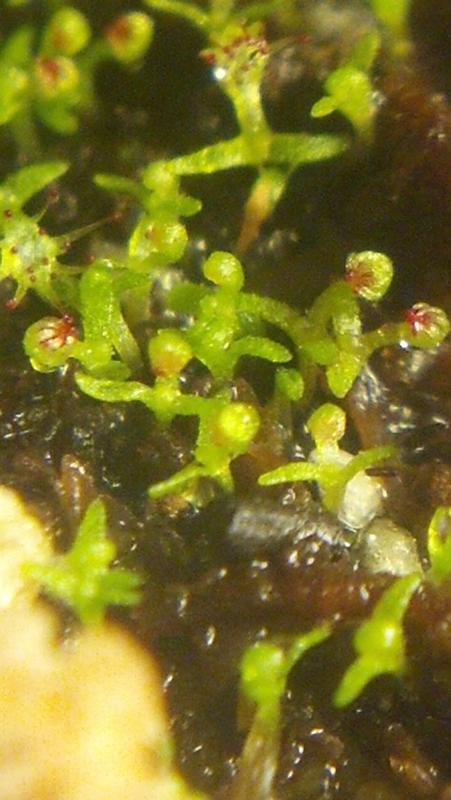 FF4XQ2X.jpg