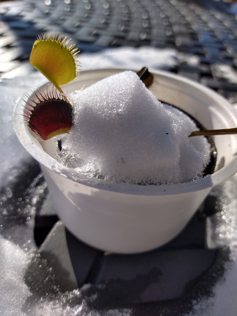 IMG-20201202-110822776-HDR.jpg