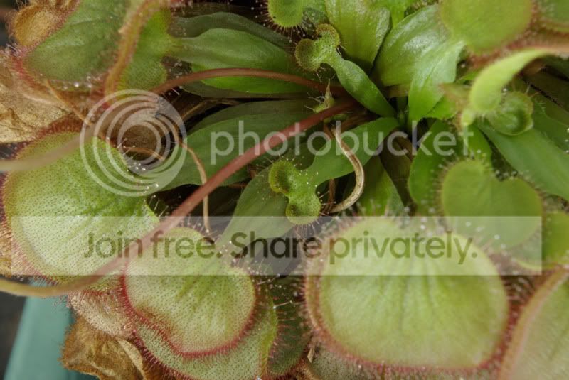 _IGP0598a.jpg