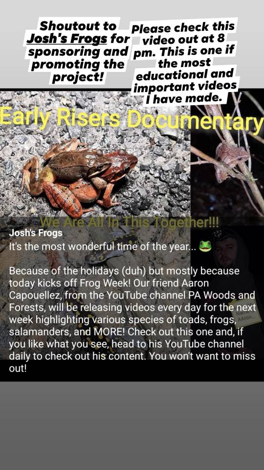 ee03ee10c261b864cb48f02872bfe2e9.jpg