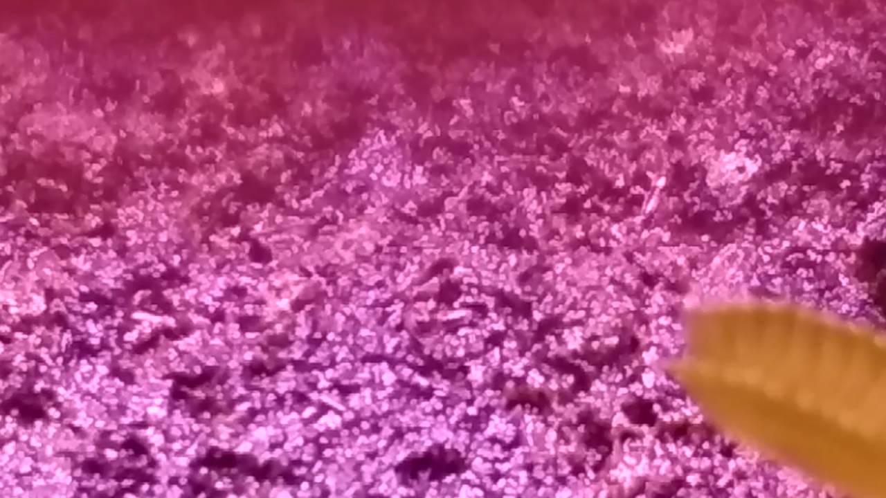 80f7b11b3c51fd1cfcb18486785851d3.jpg