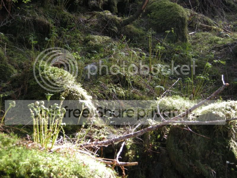 DSCN5953.jpg