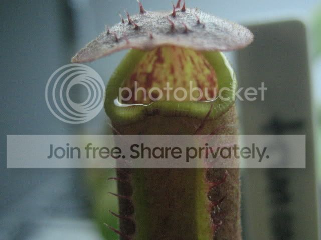 IMG_0009.jpg