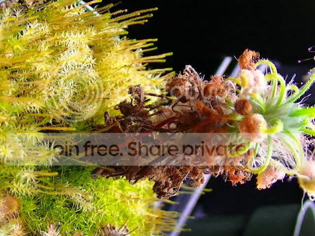 PIC_0002.jpg