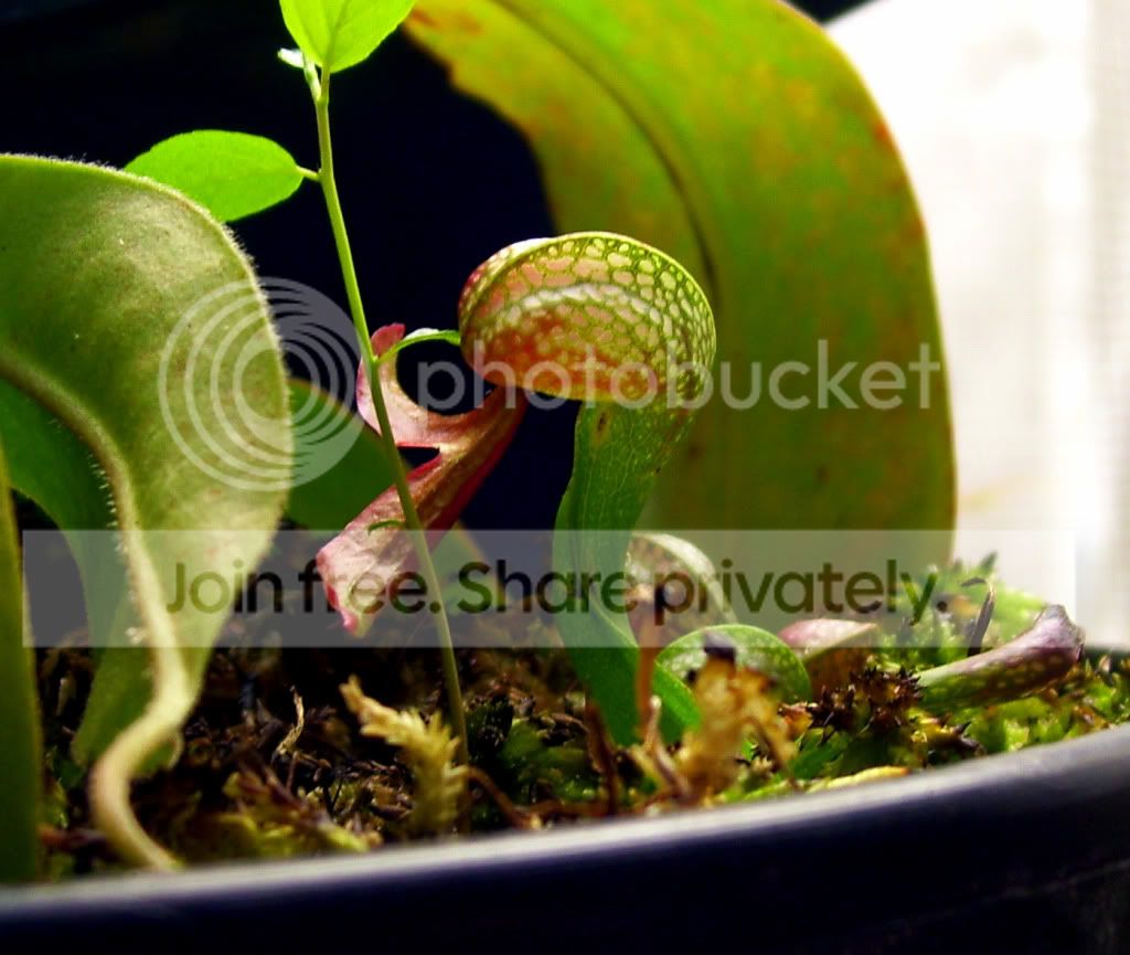 100_8605.jpg