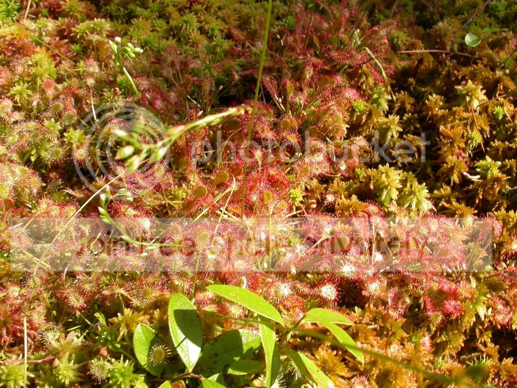 DSCN9137.jpg