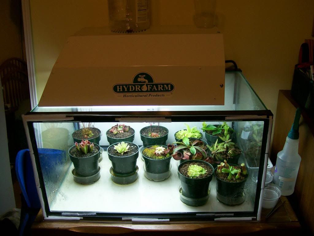 Terrarium2.jpg