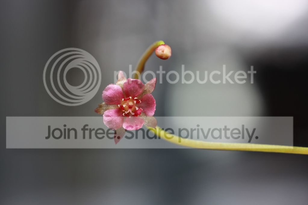6a5393eeeb316257adf74c24a5b64cb9.jpg