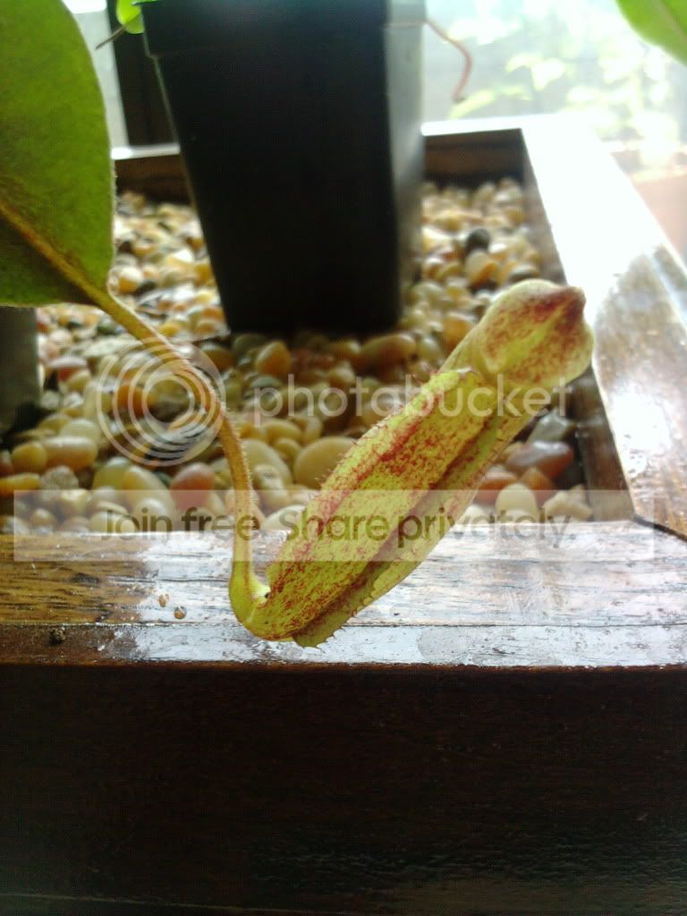 2011-07-14124447.jpg
