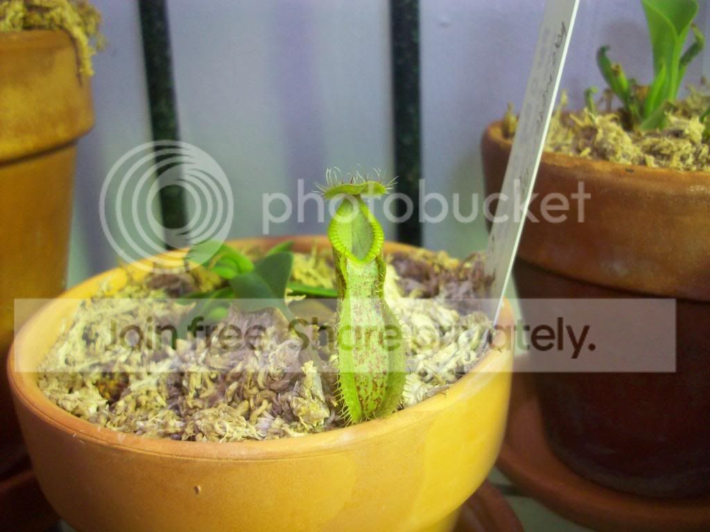 100_2753.jpg