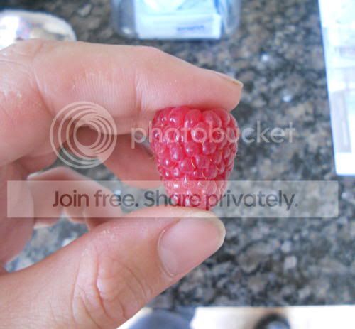 raspberry01_7-4-11.jpg
