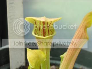 DSCN0519.jpg