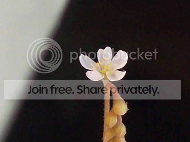 100_9763.jpg