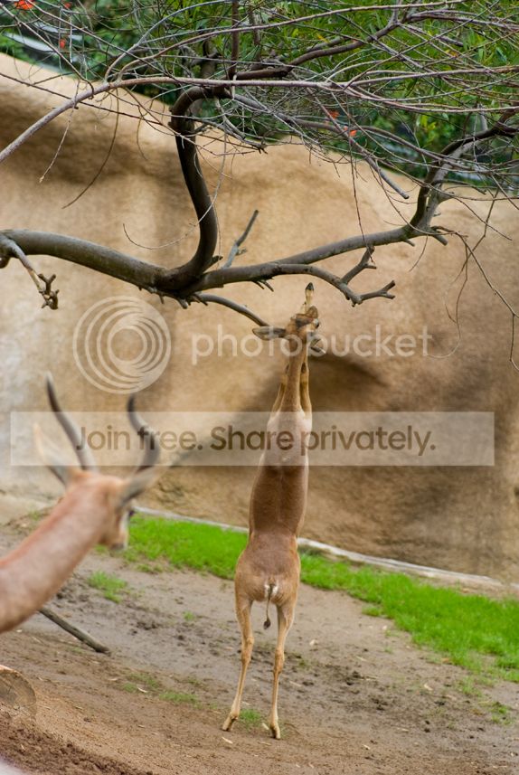 IMGP3552_zpswjfkgynj.jpg