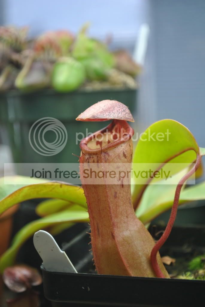 July2011077.jpg
