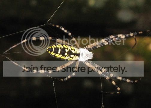 IMG_0061.jpg