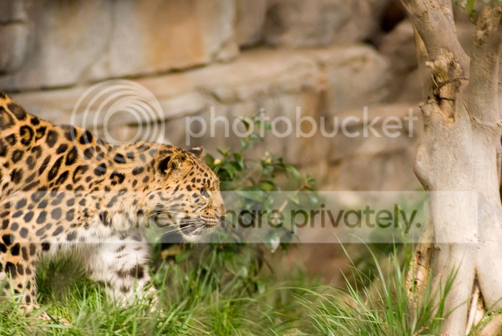 IMGP3428_zps8h51bkab.jpg