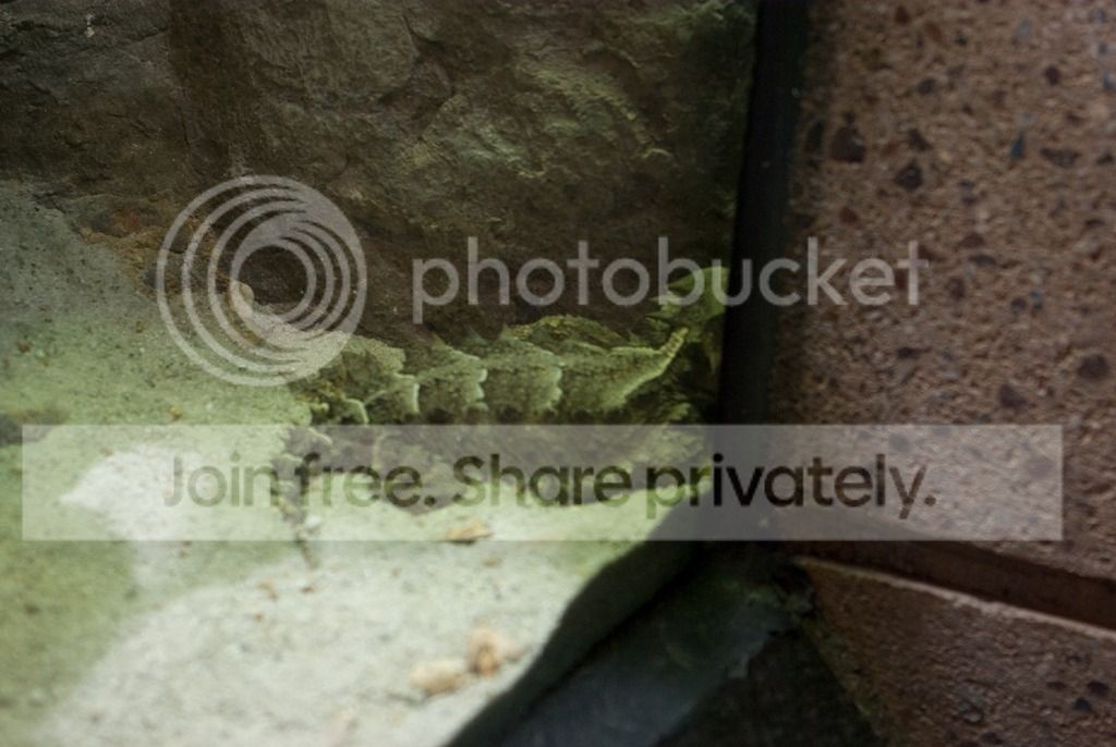 IMGP3356_zpsaq6g7la2.jpg