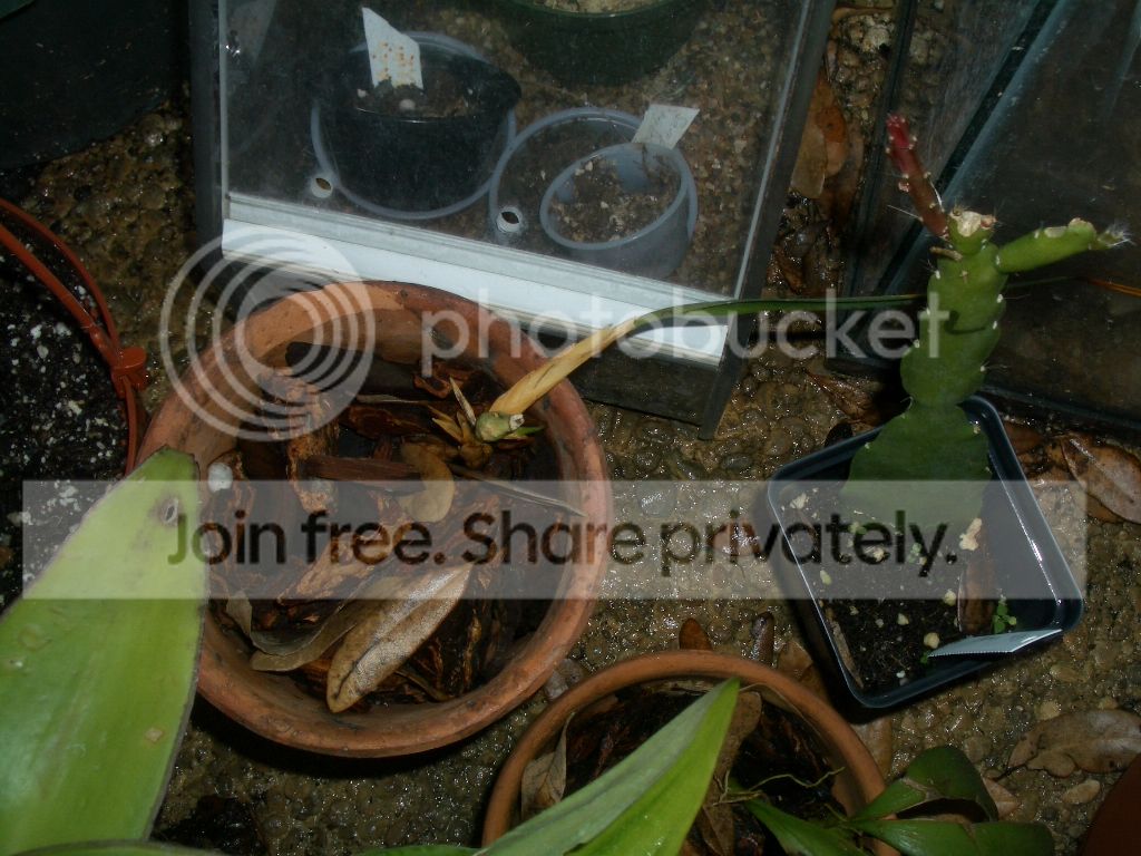 IMGP7457.jpg