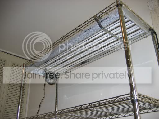 grow_rack_01.jpg