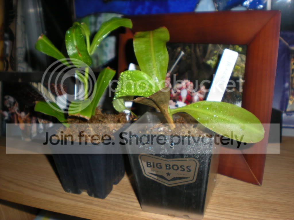 DSCN7210.jpg