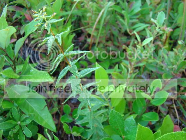 ReferenceandCPs029.jpg