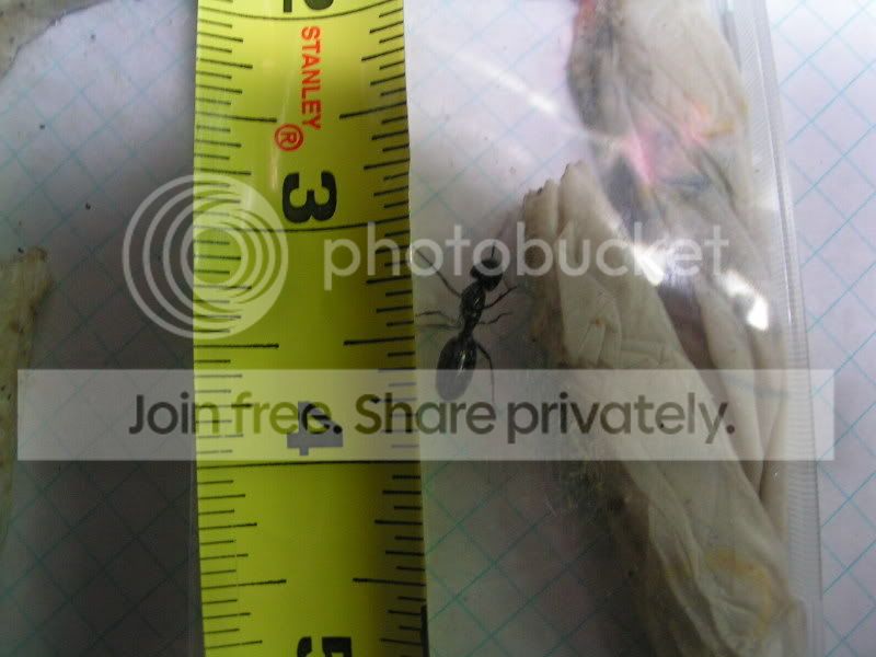 adc8969f.jpg