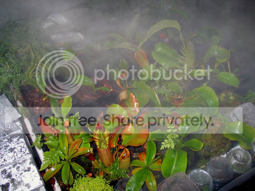 IMG_0027.jpg