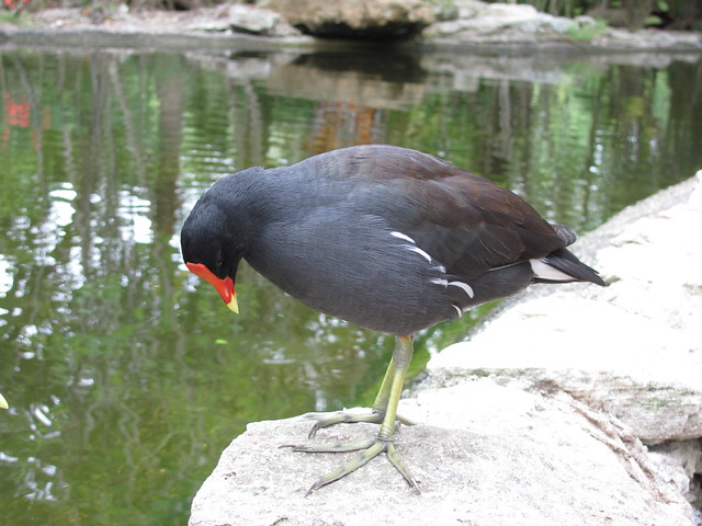 6846790919_f68f3c2852_z.jpg