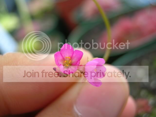 DSCN4543.jpg