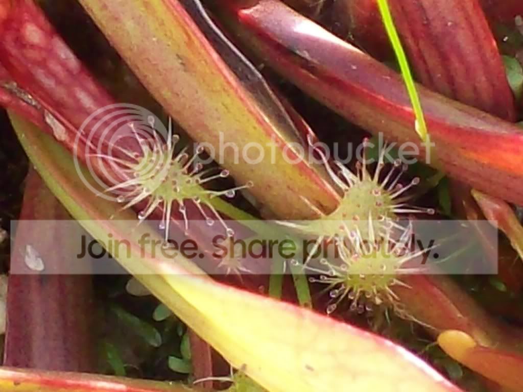 Picture003-16.jpg