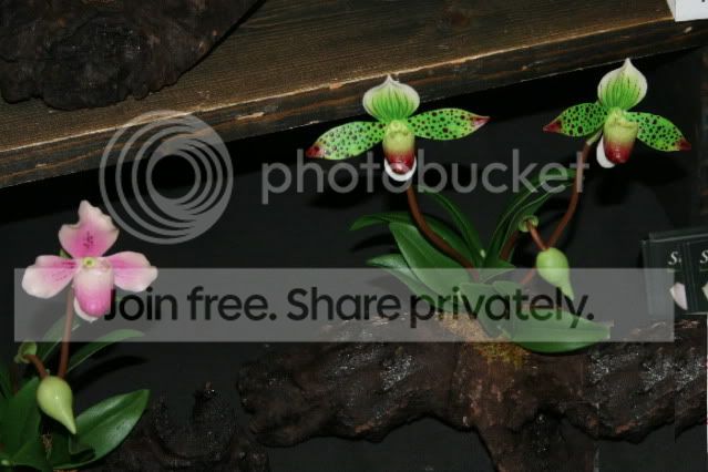 IMG_7889.jpg