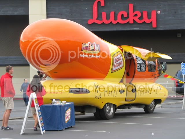 274.jpg