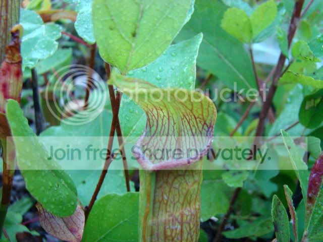 ReferenceandCPs037.jpg